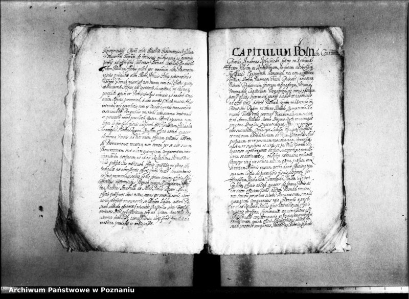 Obraz 11 z jednostki "Decreta officii [inducta]"