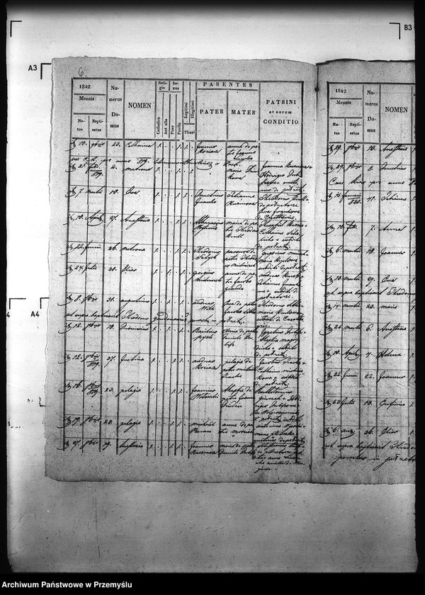 image.from.unit.number "[Kopie ksiąg metrykalnych parafii Pełniatycze z filiami Cząstkowice, Czelatyce, Roźwienica, Rożniatów, Rudołowice, Wola Roźwienicka (dekanat Pruchnik)]"