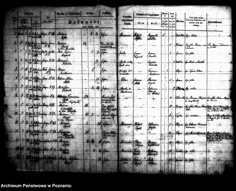 Obraz 3 z jednostki "Księga zgonów"