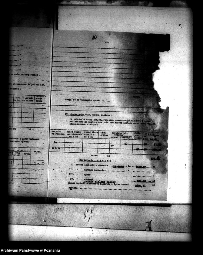 Obraz 14 z jednostki "Administracja przejściowa majątku Rataje powiatu konińskiego"