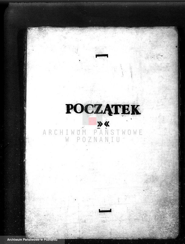Obraz 3 z jednostki "Las parafialny kościoła w Radomicku powiat kościański"