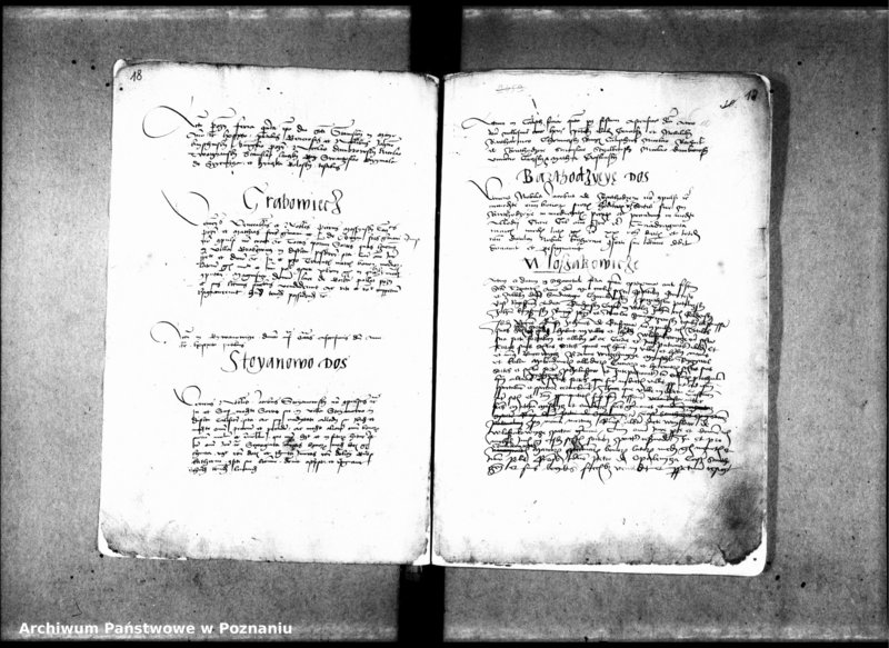 Obraz 13 z jednostki "Resignationes [inducta;protocollon]"