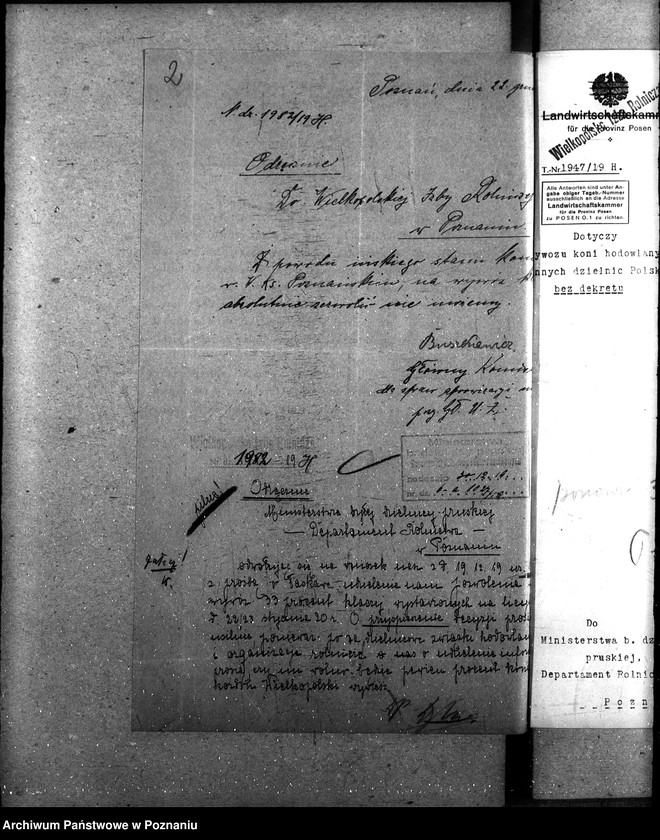 Obraz 7 z jednostki "Wywóz koni"