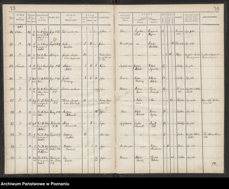 Obraz 16 z jednostki "Księga zgonów"