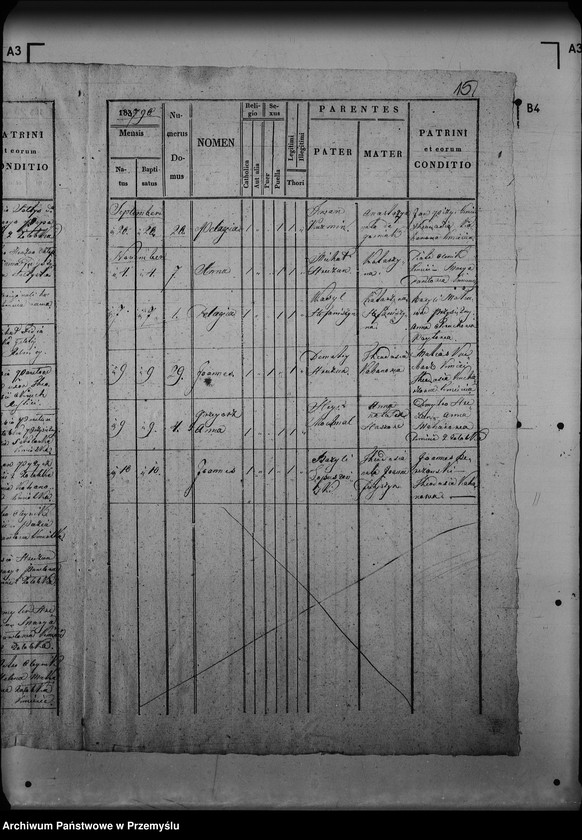 Obraz 19 z jednostki "[Kopie ksiąg metrykalnych parafii Czarna z filią Żołobek (dekanat Lutowiska)]"