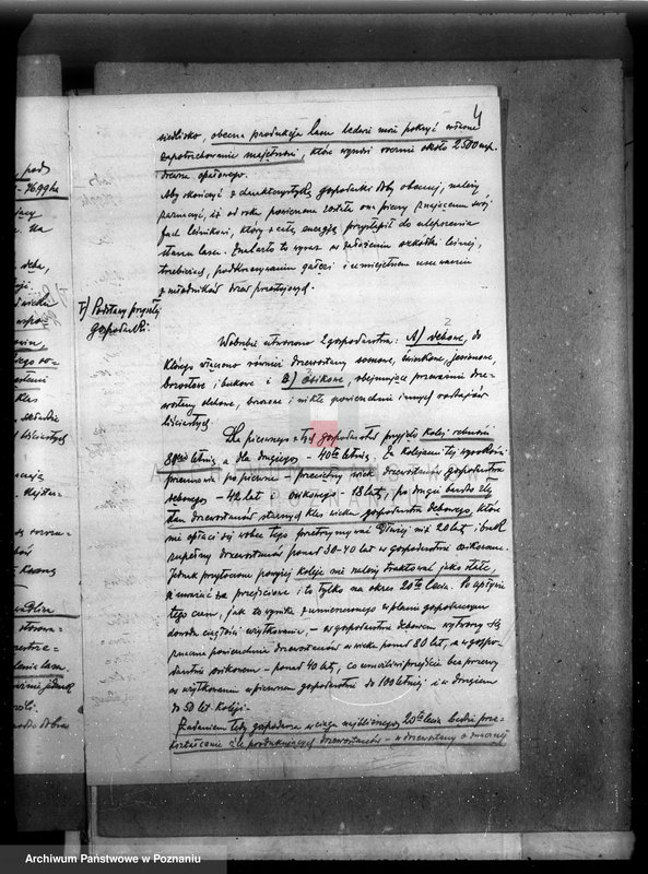 Obraz 8 z jednostki "Plan urządzenia gospodarstwa leśnego lasu majętności Dakowsko-Wojnowickiej w powiecie nowotomyskim"