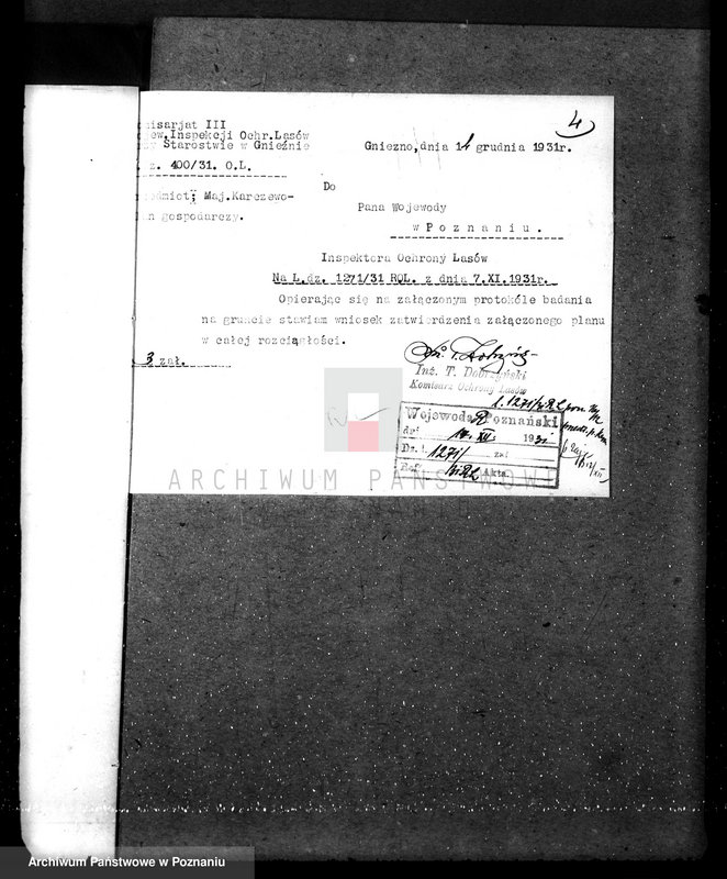 Obraz 8 z jednostki "Nadzór nad gospodarką w lasach majątku Karczewo powiecie gnieźnieńskim"