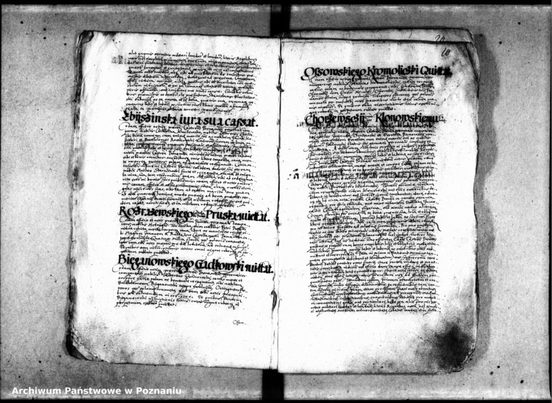 Obraz 12 z jednostki "Inscriptiones [inducta]"