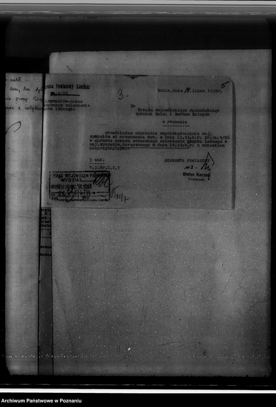 Obraz 9 z jednostki "Gmina Wymysłów powiat koniński /nadzór nad gospodarką leśną/"