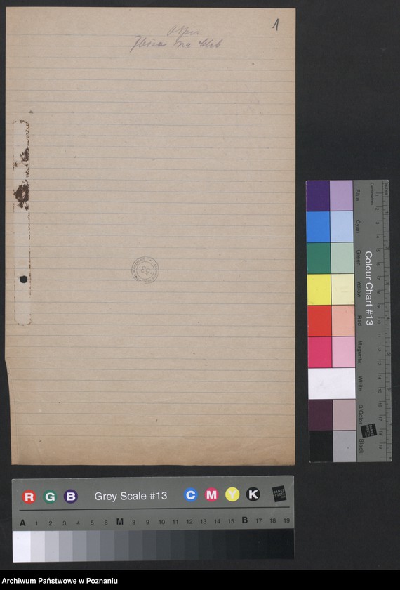 Obraz 3 z jednostki "[Dane statystyczne dotyczące płodów rolnych, trzody chlewnej i bydła zabranych przez Niemców z terenów zajętych przez nich powiatów rejencji poznańskiej i bydgoskiej]"