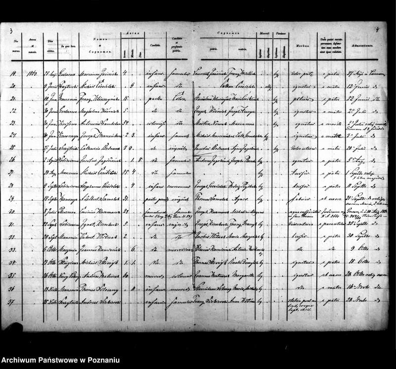 Obraz 5 z jednostki "Liber mortuorum"