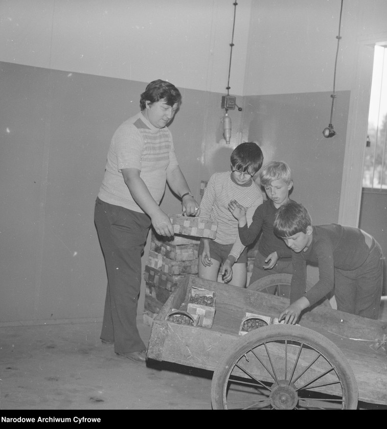 image.from.unit.number "Zbiór truskawek, skup owoców i warzyw we wsi Sobienie-Jeziory"