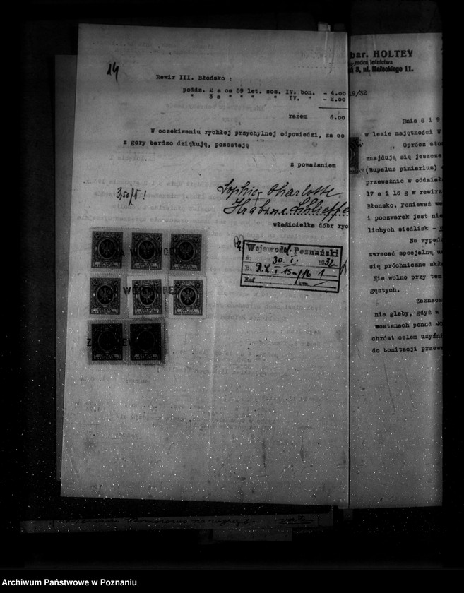 Obraz 18 z jednostki "Majętność leśna Wioska powiat wolsztyński"