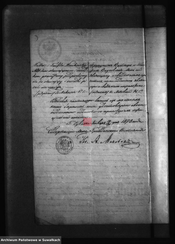 Obraz 7 z jednostki "Kniga s dokumentami Filipovskago Rimsko Katoličeskago Prichoda v 1873 godu"