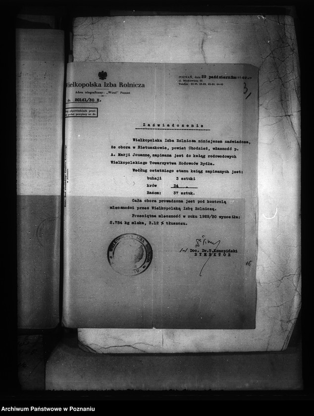 Obraz 7 z jednostki "/Majętność Nietuszkowo powiat chodzieski wyłączenie z art.. 4 i 5/ ustawy o wykonaniu reformy rolnej"