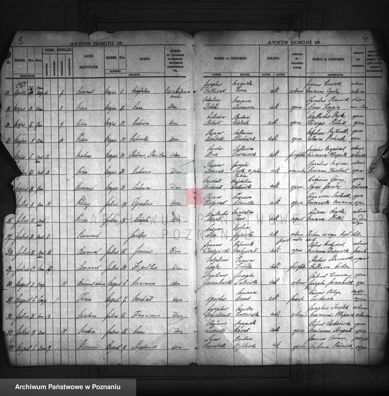 Obraz 3 z jednostki "Liber baptisatorum"