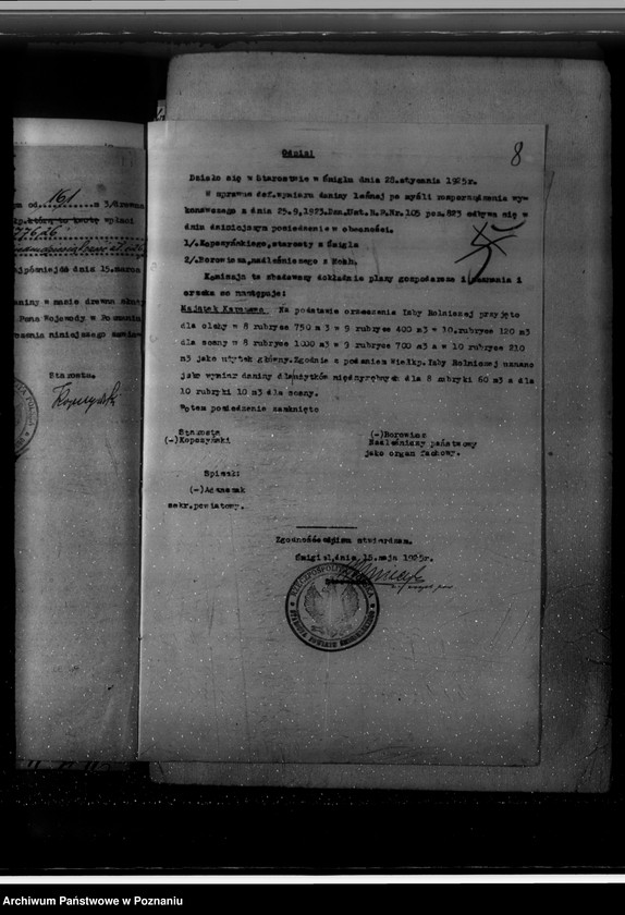 Obraz 12 z jednostki "Majętność leśna Karczewo powiat kościański"