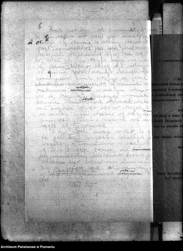 Obraz 10 z jednostki "Ceny kartofli"