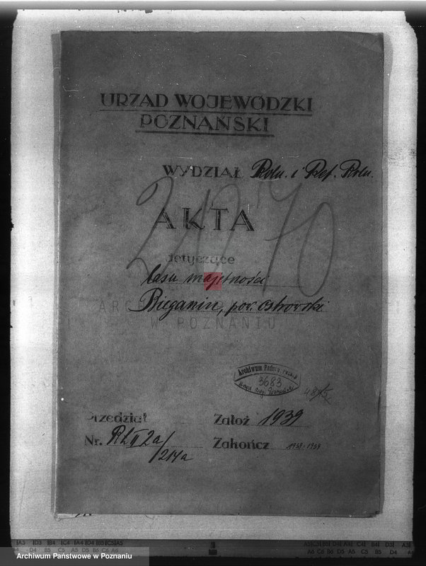 Obraz 4 z jednostki "Las majętności Bieganin powiat obornicki"