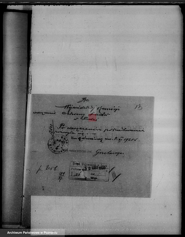 Obraz 17 z jednostki "Gmina Koźminek powiat kaliski /sprawy leśne/"