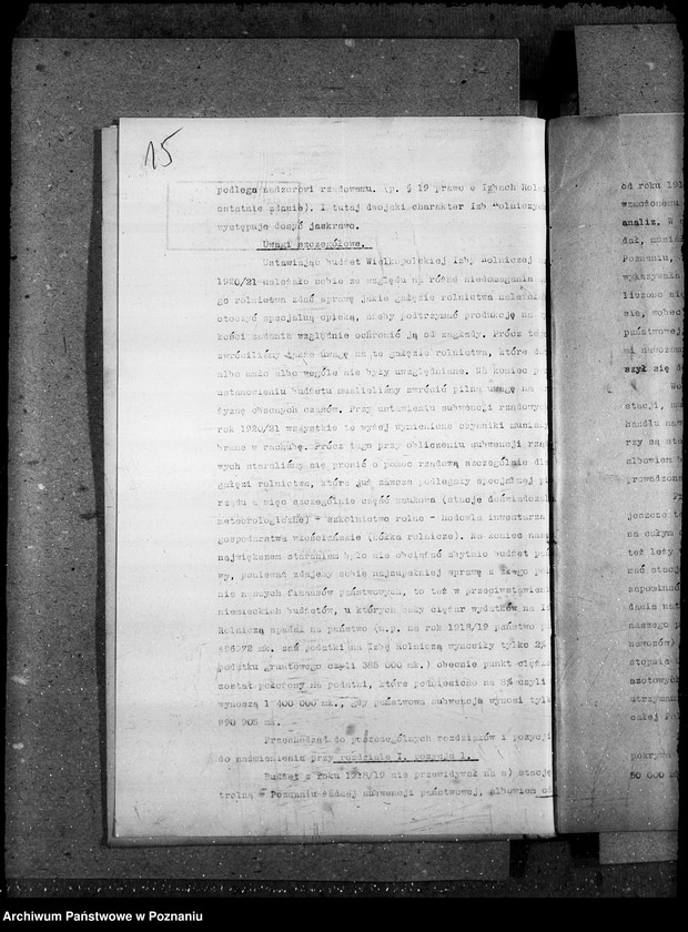 Obraz 20 z jednostki "Budżet Wielkopolskiej Izby Rolniczej na rok 1921"