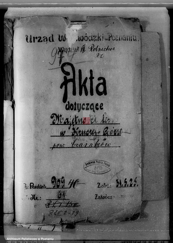 Obraz 4 z jednostki "Majętności leśne w Krucz-Goraju w powiecie czarnkowskim"