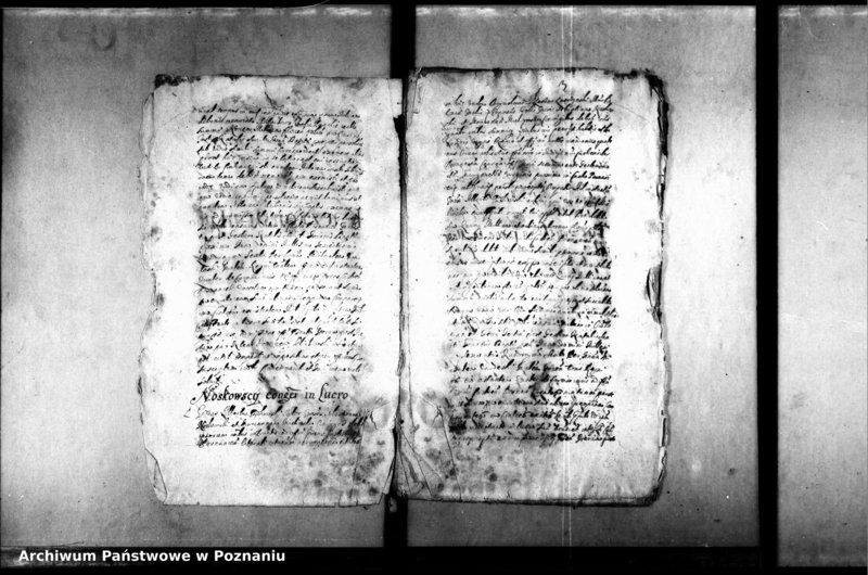 Obraz 7 z jednostki "Decreta officii [inducta]"