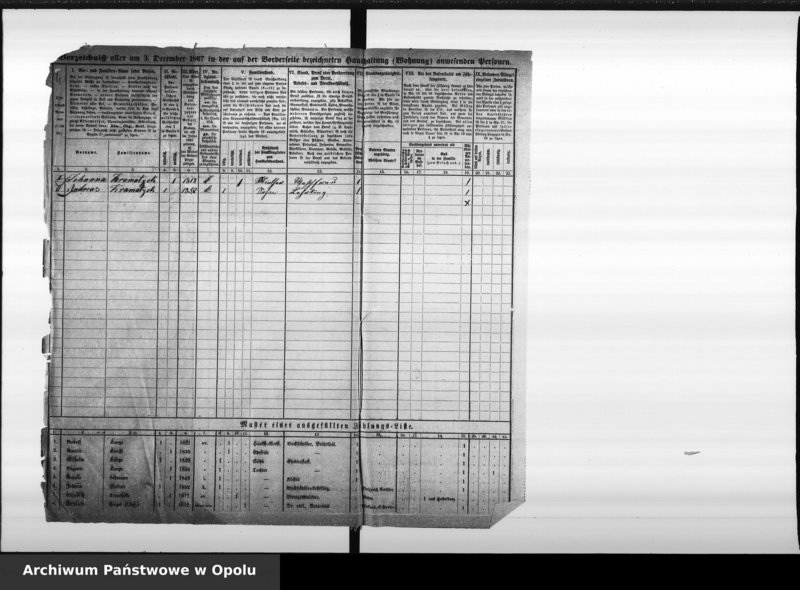 Obraz 8 z jednostki "[Okręg spisowy 12 - spis ludności 1867]"