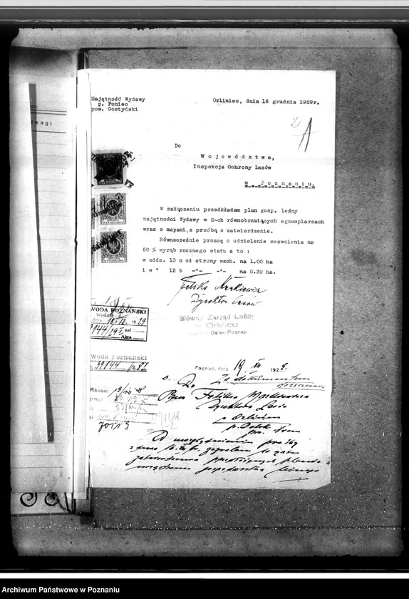 Obraz 6 z jednostki "Lasy majętności Wydawy w powiecie gostyńskim"