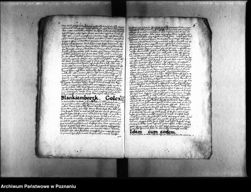 Obraz 10 z jednostki "Decreta [inducta]"