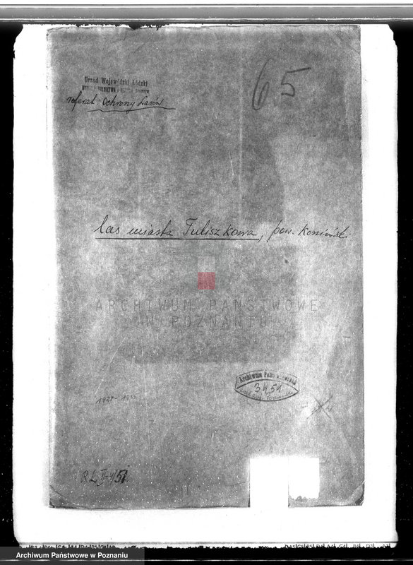 Obraz 3 z jednostki "Las miasta Tuliszkowo powiat koniński"