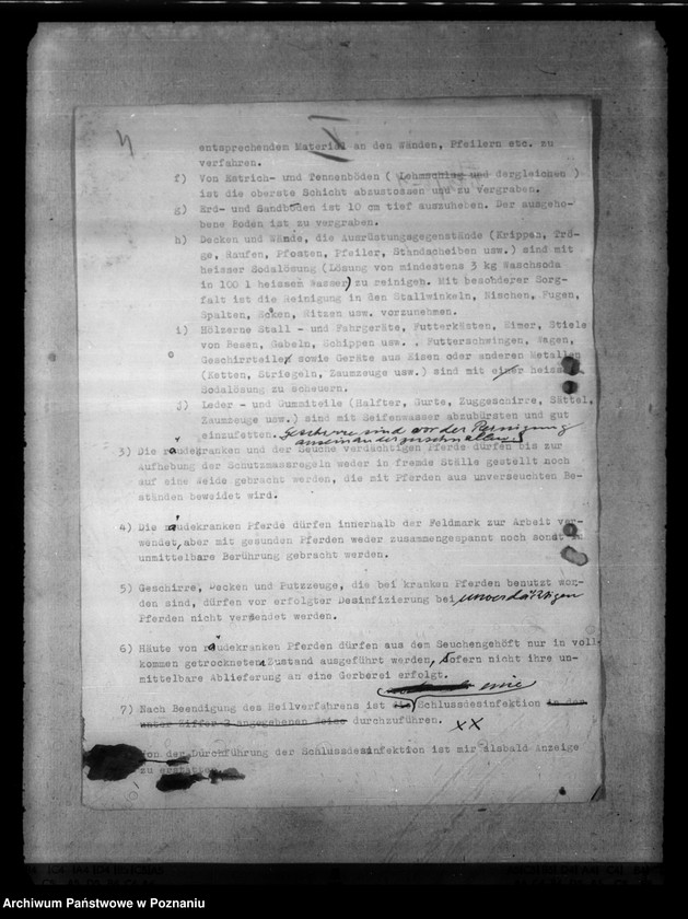 Obraz 8 z jednostki "Bekämpfung der Räude der Einhufer - Pferde, Gaszelle zur Behandlung räudekranker Pferde."