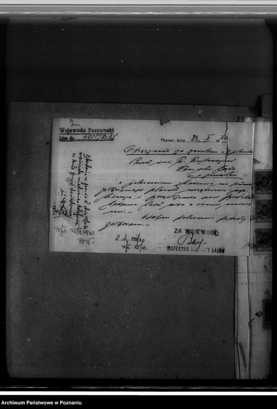 Obraz 6 z jednostki "Majętność leśna Zborowo powiat poznański"