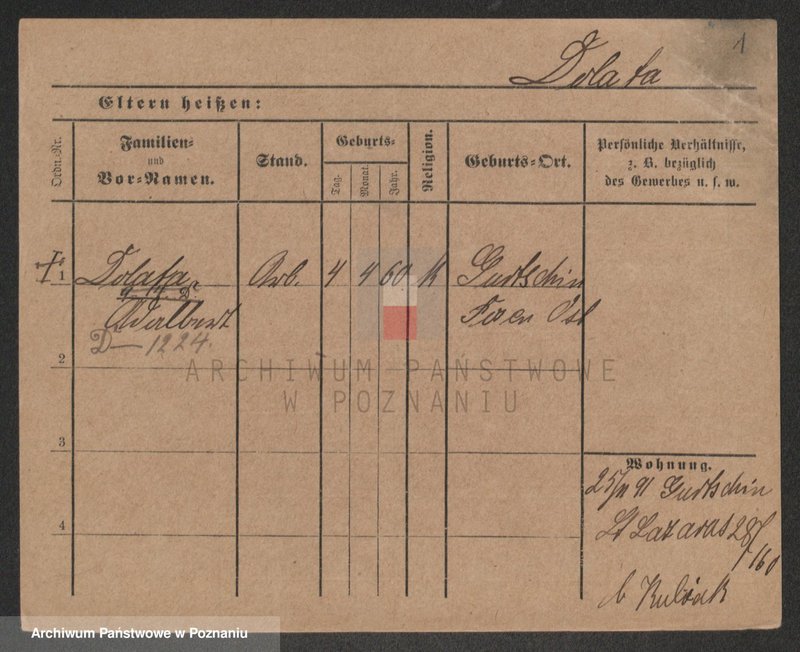 Obraz 3 z jednostki "Dolata - Dolt"