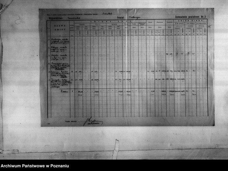 Obraz 9 z jednostki "/Statystyka produkcji rolnej - zestawienie powiatowe - Krotoszyn/"