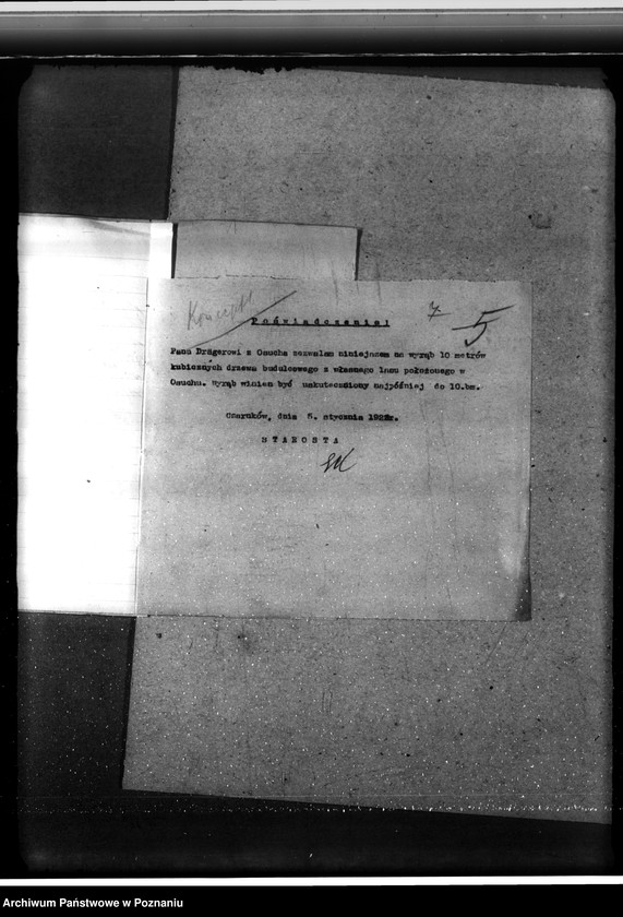 Obraz 11 z jednostki "/Nadzór nad gospodarką w lasach gminy Osuch w powiecie czarnkowskim własność Ewald Draeger"