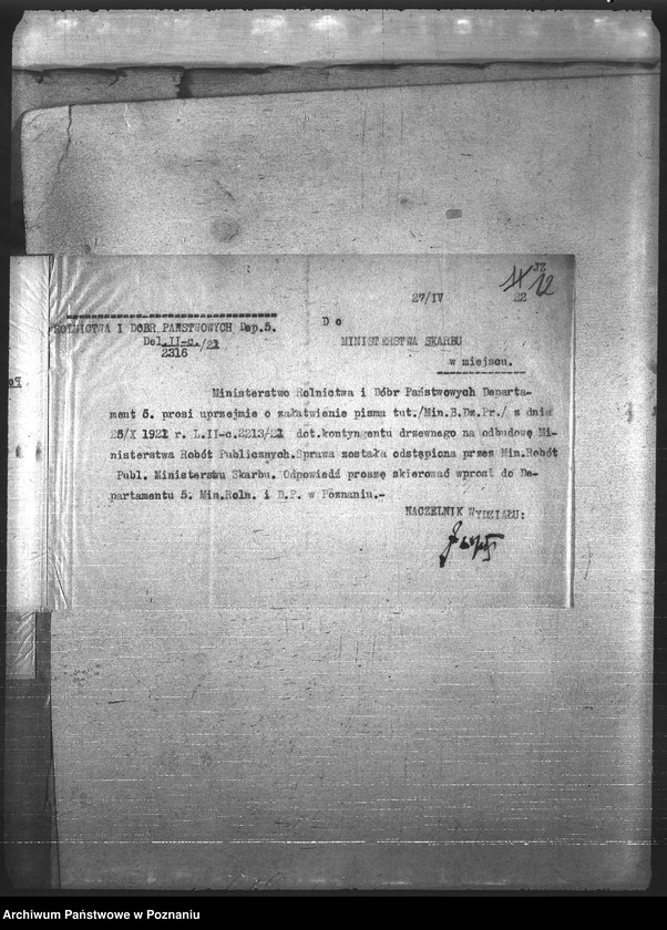 Obraz 15 z jednostki "Leśnictwo"