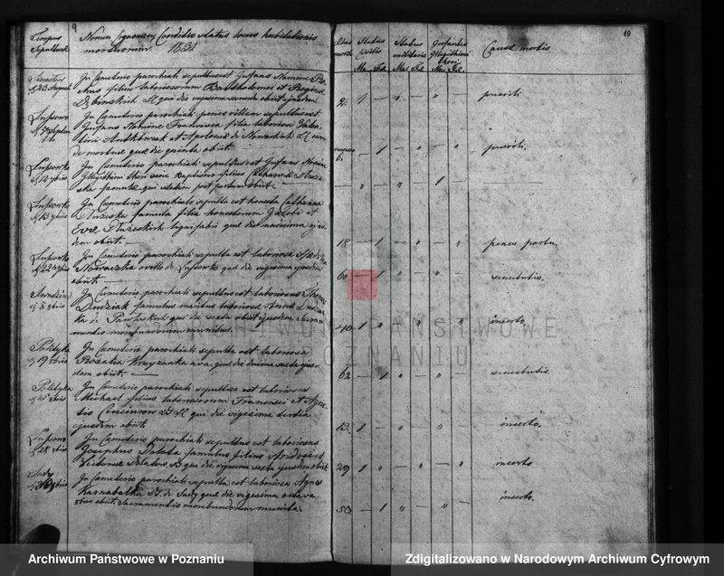 Obraz 8 z jednostki "Liber mortuorum"