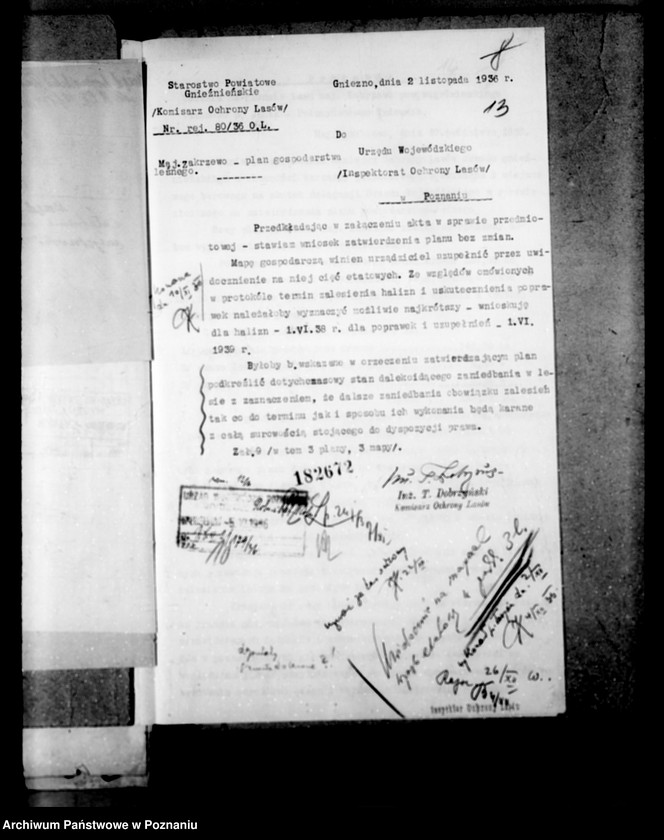 Obraz 17 z jednostki "Majętność leśna Zakrzewo powiat wągrowiecki"