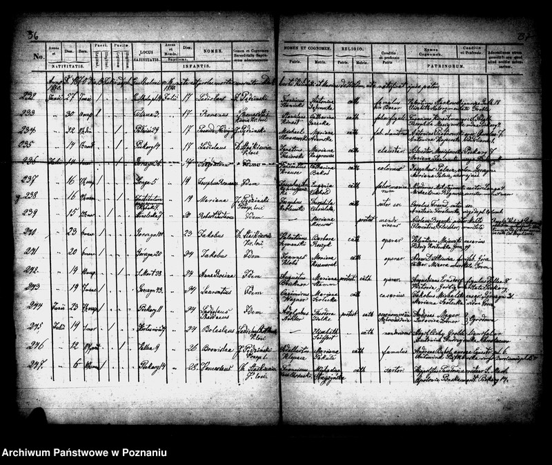 image.from.unit.number "Księga urodzeń"