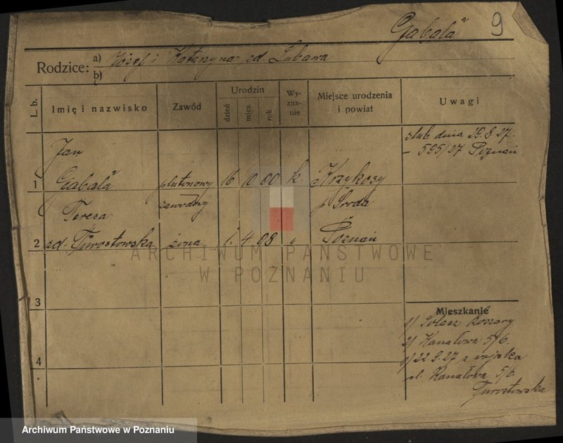 Obraz 11 z jednostki "Gaab - Gaciorkowski"