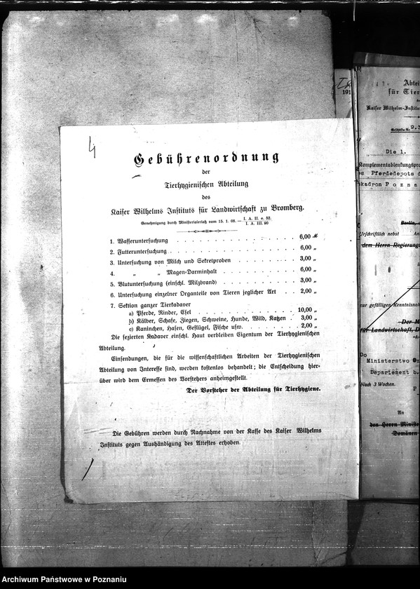 Obraz 8 z jednostki "Nosacizna - Poznań Miasto"