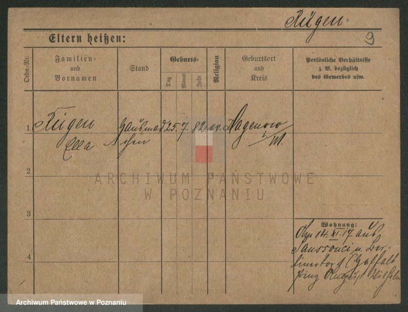 Obraz 11 z jednostki "Rigelhaupt - Rinke"