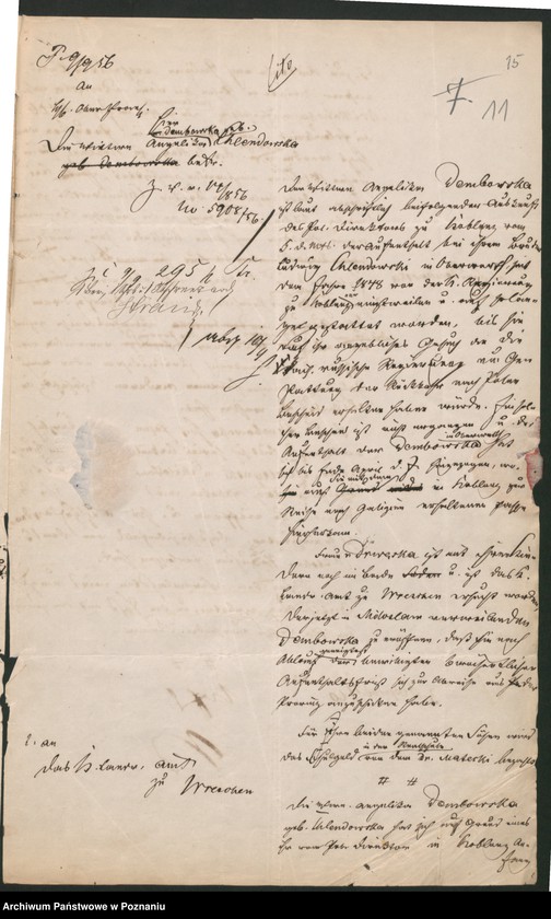 Obraz 15 z jednostki "A. betr. Personalia der Witwe Angelica von Dembowska und ihre Söhne Czeslaw und Eduard"