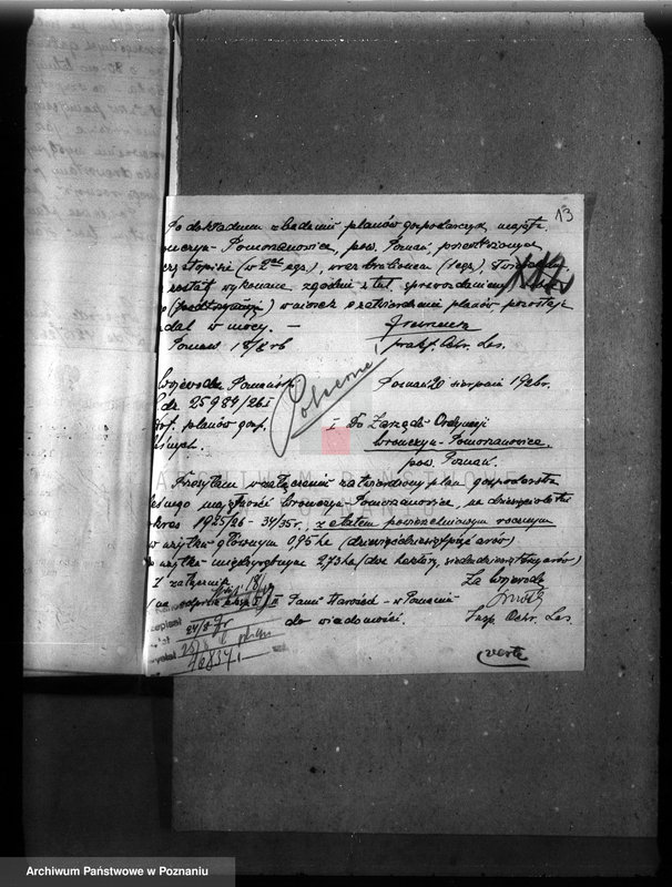 Obraz 16 z jednostki "Majętność leśna Wronczyn-Pomarzanowice powiat poznański"