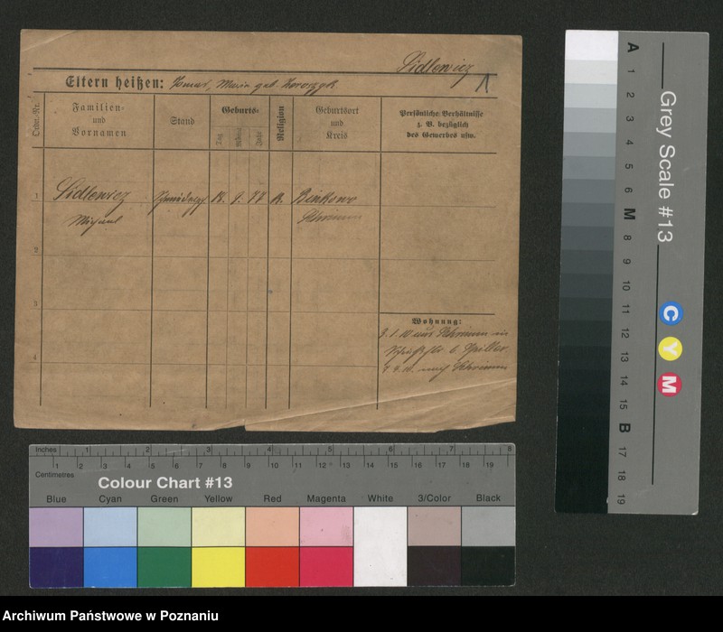 Obraz 6 z jednostki "Sidlewicz - Sieplinski"