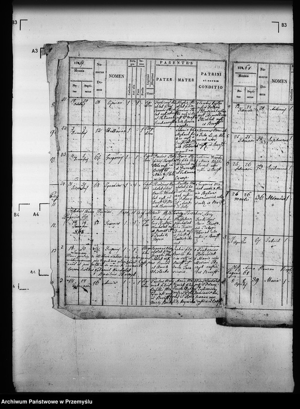 Obraz 8 z jednostki "[Kopie ksiąg metrykalnych parafii Berest z filią Polany (dekanat Grybów)]"