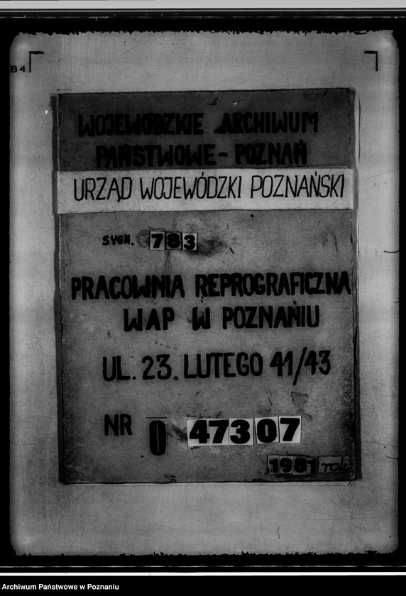 Obraz 20 z jednostki "Klub Sportowy Braci Koerpel w Szamotułach"