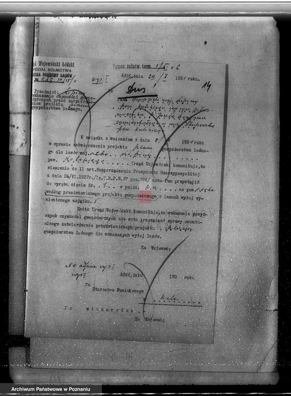 Obraz 19 z jednostki "Zatwierdzenie projektu planu gospodarstwa leśnego dla lasów majątku Lipiny powiatu kolskiego"