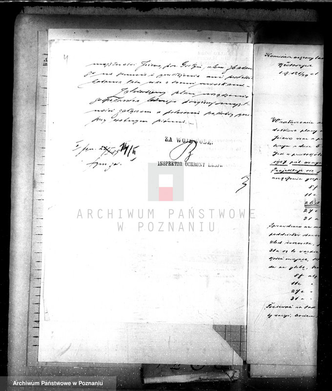 Obraz 8 z jednostki "Majętność leśna Jeżewo w powiecie gostyńskim"